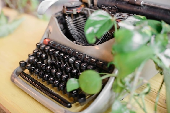 typewriter, typography, machine, old fashioned, device, leaf, still life, retro, old, indoors