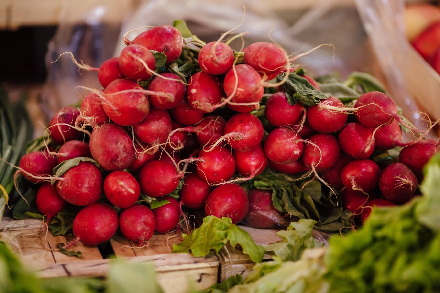 rouge, radis, Shopping, légumes, marché, Agriculture, produits, herbe, légume, alimentaire
