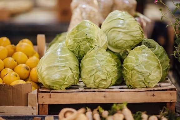 shopping, cabbage, marketplace, vegetables, fruit, lemon, health, food, market, healthy