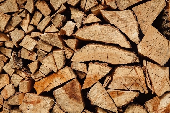 firewood, hardwood, rough, bark, texture, wood, nature, tree, dry, forestry