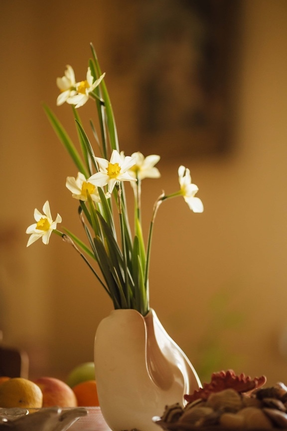 daffodil, vase, interior decoration, still life, narcissus, nature, blossom, plant, spring, flower
