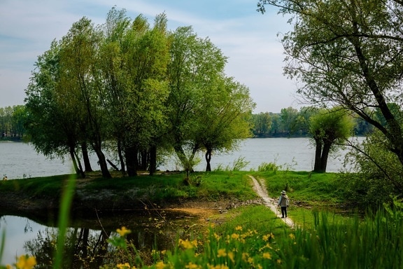Riva del fiume, tempo di primavera, escursionista, natura, orizzontale, bel tempo, Lago, fiume, pianta, Salice
