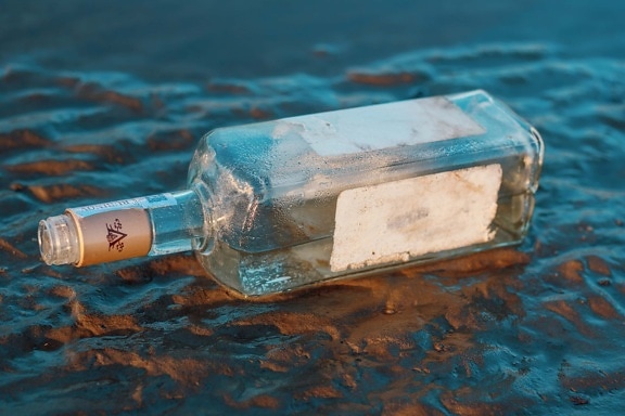 glass, bottle, coast, empty, trash, garbage, wet, nature, water, summer