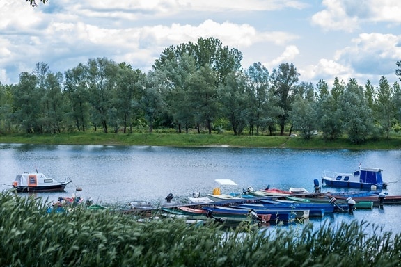 kanaal, motorboot, meer, water, lakeside, oever, boot, rivier, zomer, gras