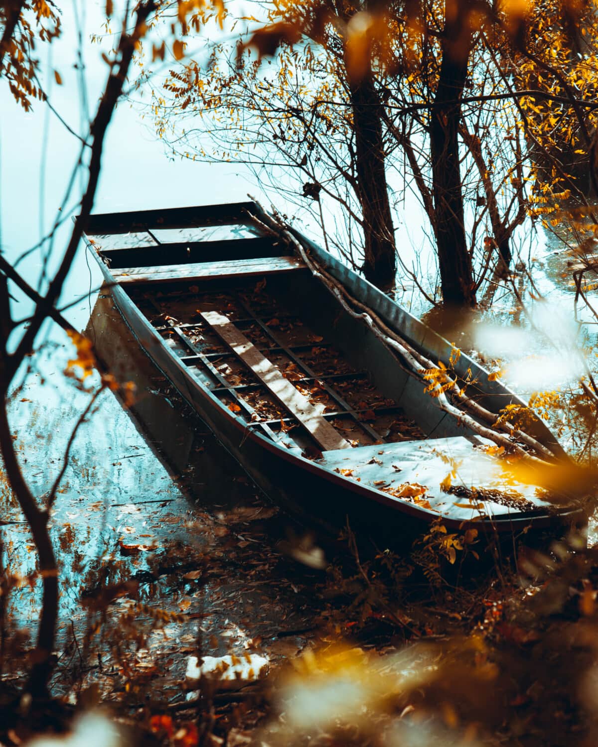 лодка, стар, есенния сезон, брегова линия, реката, дърво, дървета, дървен материал, на открито, вода