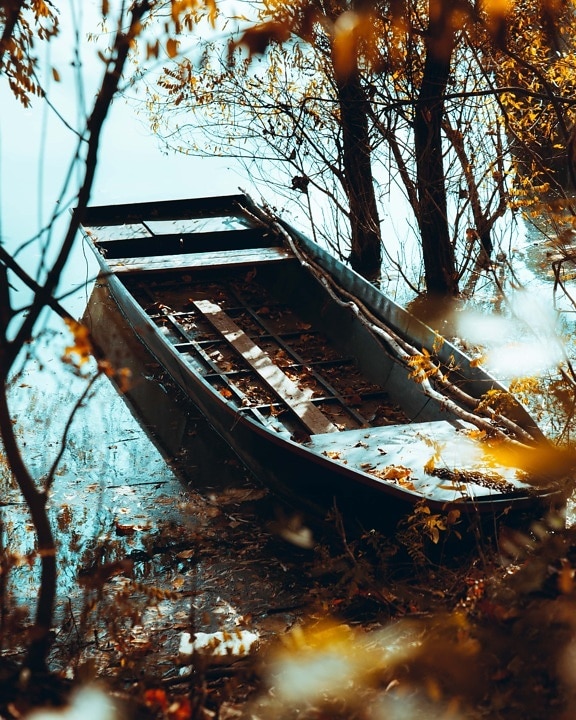 perahu, lama, musim gugur musim, Pantai, tepi sungai, pohon, pohon, kayu, di luar rumah, air