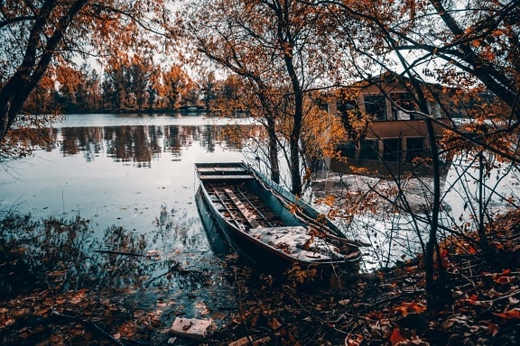 boat, boathouse, flood, tree, water, river, leaf, landscape, lake, wood
