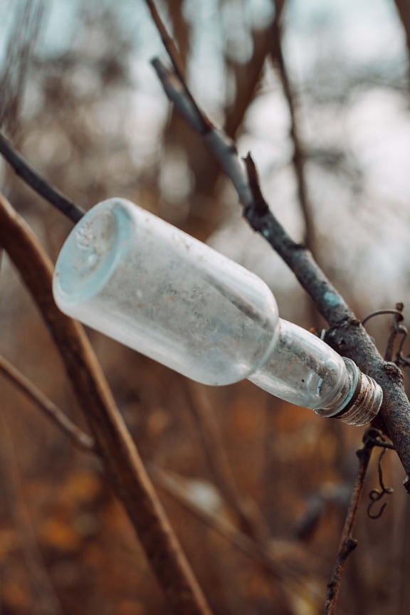 empty, bottle, tree, abandoned, glass, dirty, wires, object, branches, nature