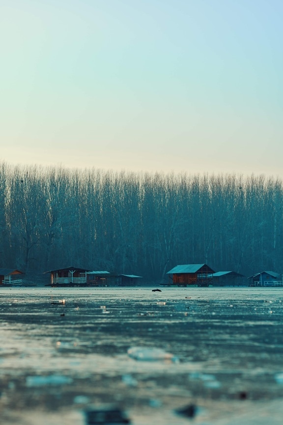 frozen, lake, winter, atmosphere, water, nature, dawn, wood, fog, landscape