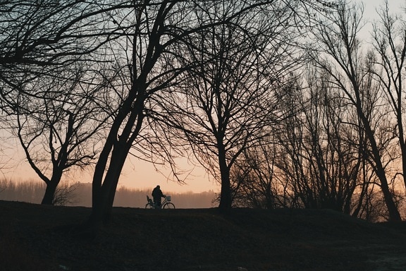 dusk, silhouette, walking, person, trees, landscape, fog, tree, winter, dawn