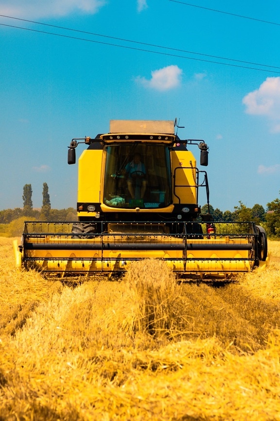 machine, Agriculture, moissonneuse-batteuse, champ de blé, été, agriculteur, unité, composant de collecte, machines, secteur d'activité
