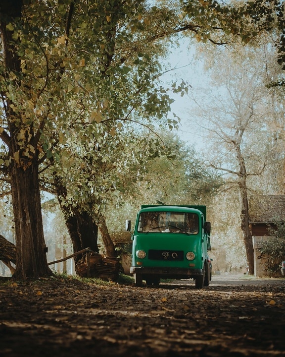 zelená, staromódní, vozík, lesní cesta, Doprava, vozidlo, cesta, strom, krajina, prostředí