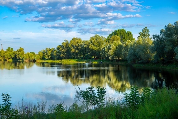 greenery, spring time, lakeside, fair weather, blue sky, idyllic, reflection, forest, water, landscape