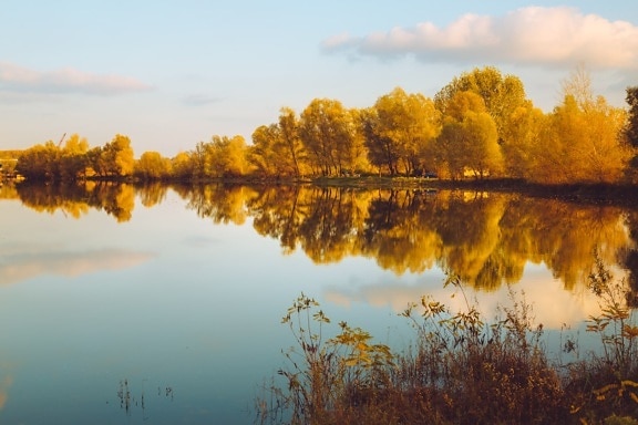 saison de l'automne, Lac, réflexion, calme, majestueux, lueur dorée, aube, paysage, coucher de soleil, eau