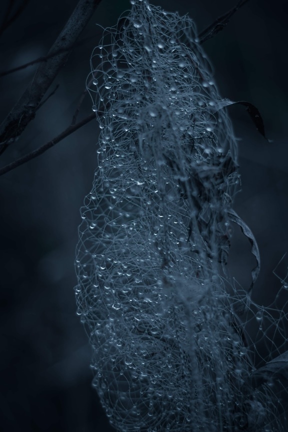 close-up, hanging, network, raindrop, monochrome, rain, wet, moisture, bubble, droplet