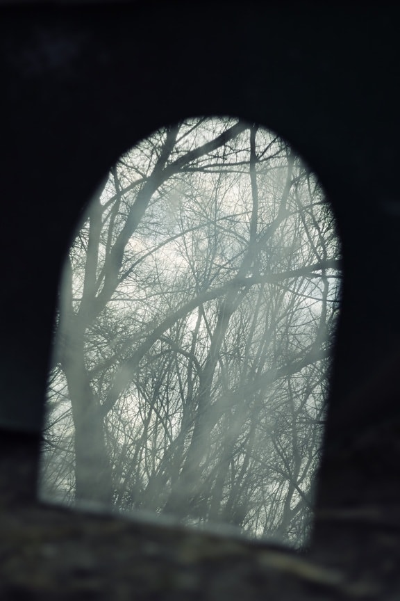 tunnel, brumeux, ombre, forêt, ténèbres, trou, fenêtre, nature, sombre, bois