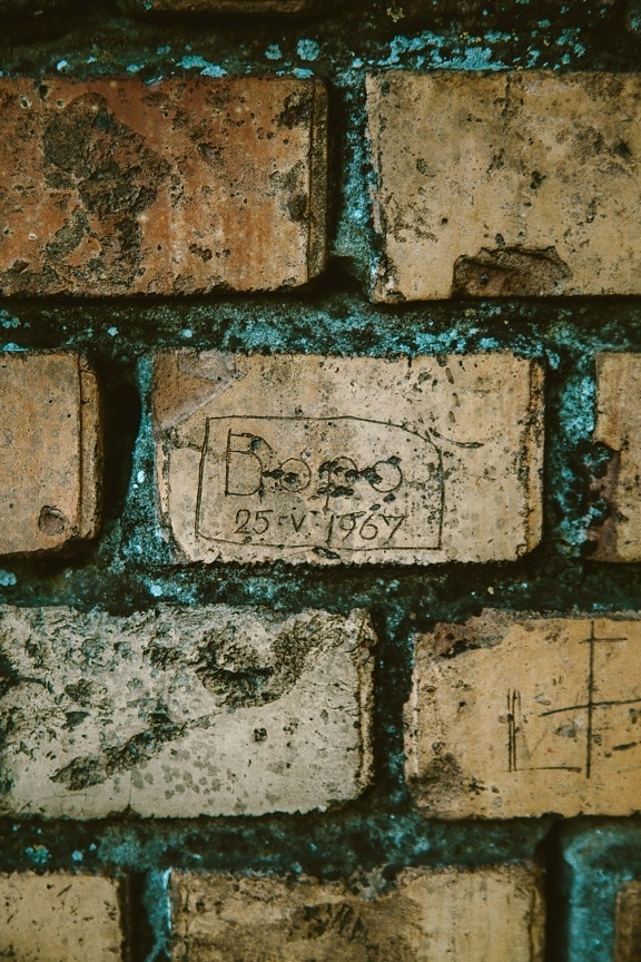 bricks, masonry, wall, mossy, texture, carvings, text, brick, urban, retro