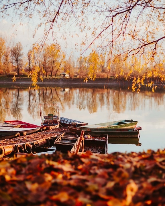 barca da pesca, barca, autunno, Riva, orizzontale, Lakeside, albero, acqua, riflessione, Lago