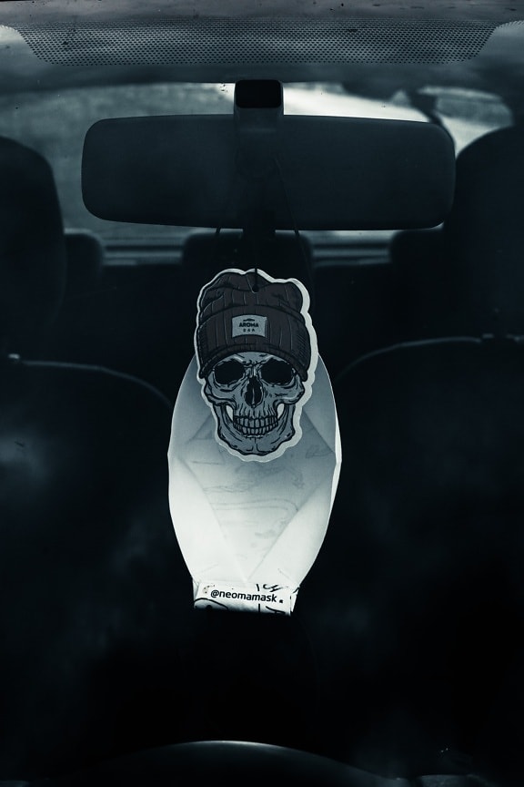 windshield, car, mirror, close-up, symbol, skeleton, hanging, skull, vehicle, dark