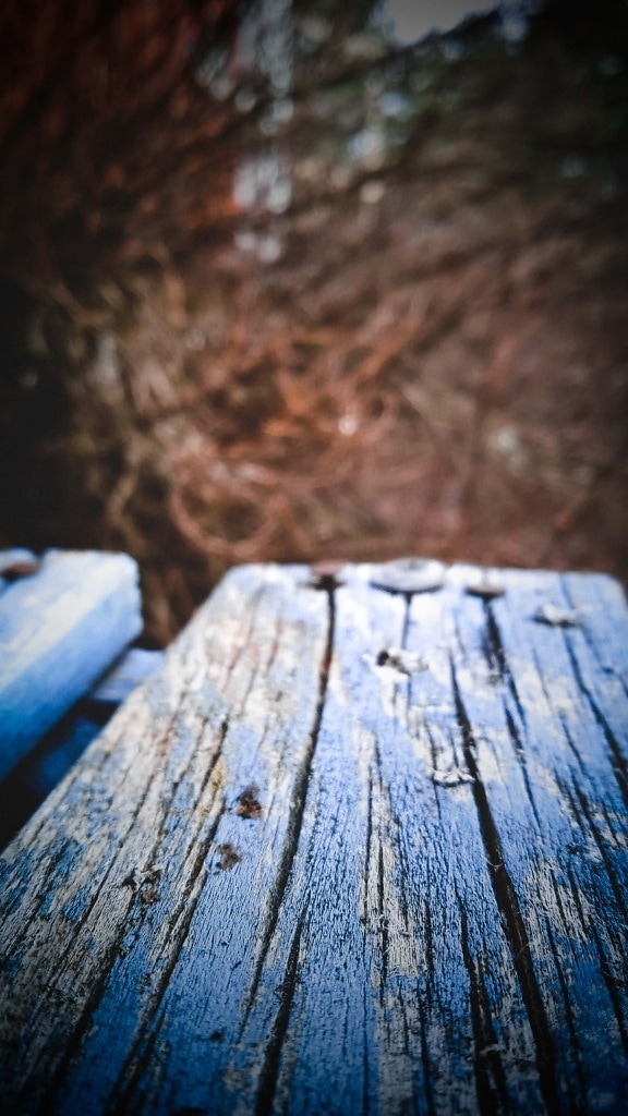 wooden, planks, blue, paint, decay, old, abandoned, wood, nature, dark