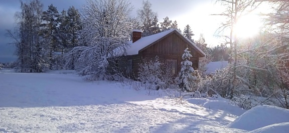 neigeux, Cottage, Hiver, journée, lumière du jour, ensoleillée, bois, Grange, froide, structure