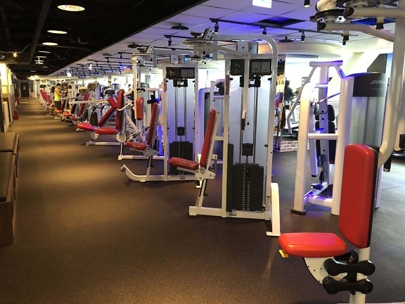 Fitness-Studio, Maschine, moderne, Ausrüstung, Hantel, Gewichtung, Fitness, Club, drinnen, Zimmer