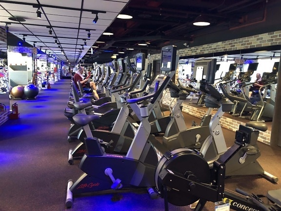 salle de gym, tapis de course, exercice, remise en forme, endurance, Club, à l'intérieur, machine, gens, secteur d'activité