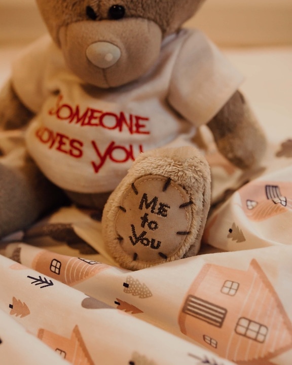 teddy bear toy, toy, plush, text, message, blanket, indoors, handmade, traditional, brown