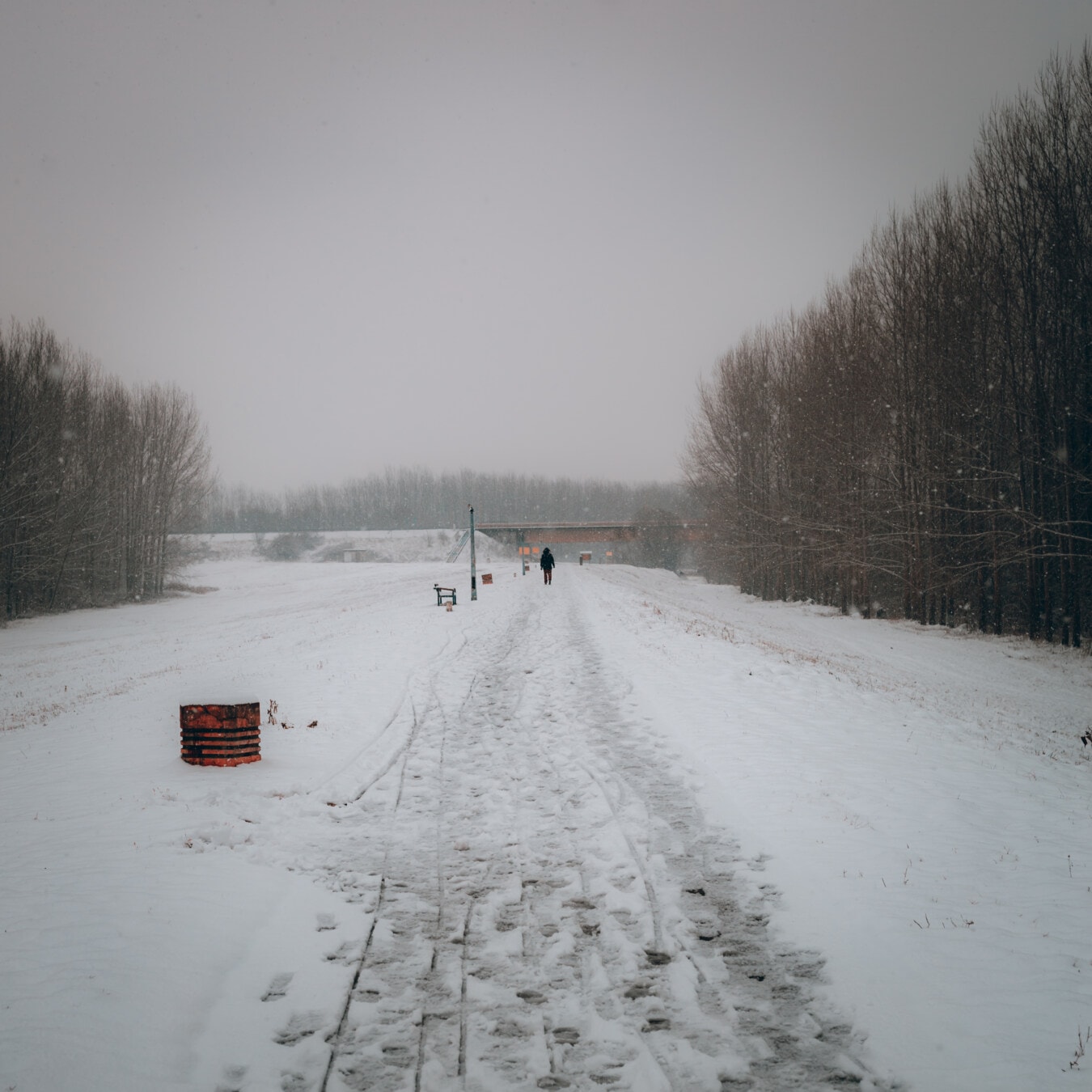 jalanjäljet, lumi, jälki, kävely, henkilö, tie, talvi, lumimyrsky, jäädytetty, sumu