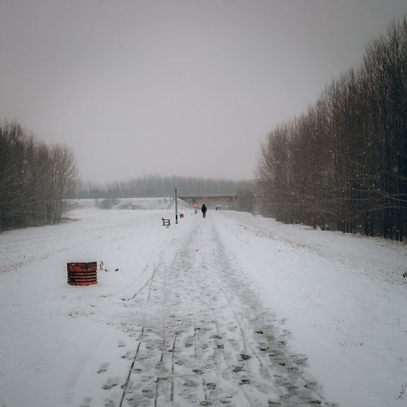 lábnyomok, hó, lépteket, gyaloglás, személy, közúti, téli, hóvihar, fagyasztott, köd