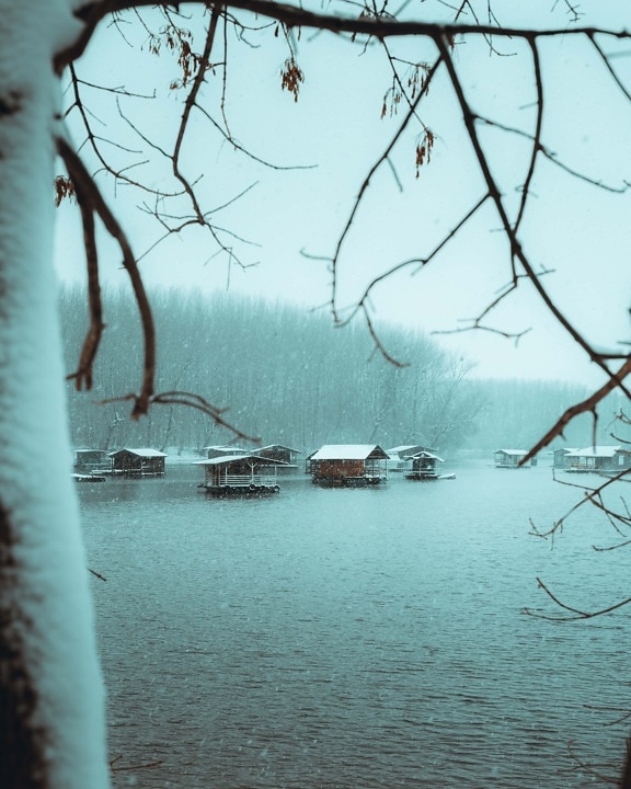 snowflakes, snowstorm, boathouse, lakeside, frosty, cold water, tree, snow, winter, water