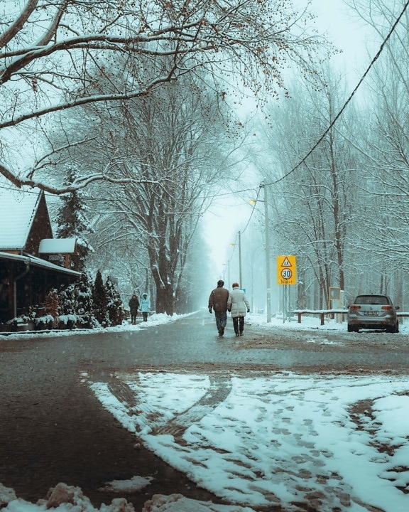 Straße, Winter, Fuß, schlechtes Wetter, Schneesturm, schneebedeckt, Menschen, Kreuzung, Verkehrssteuerung, Wetter