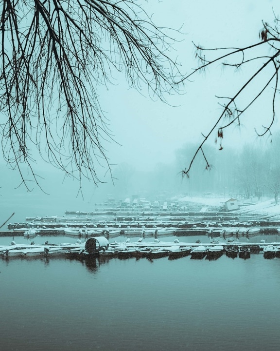 fog, winter, water, lake, tree, nature, snow, mist, reflection, dawn