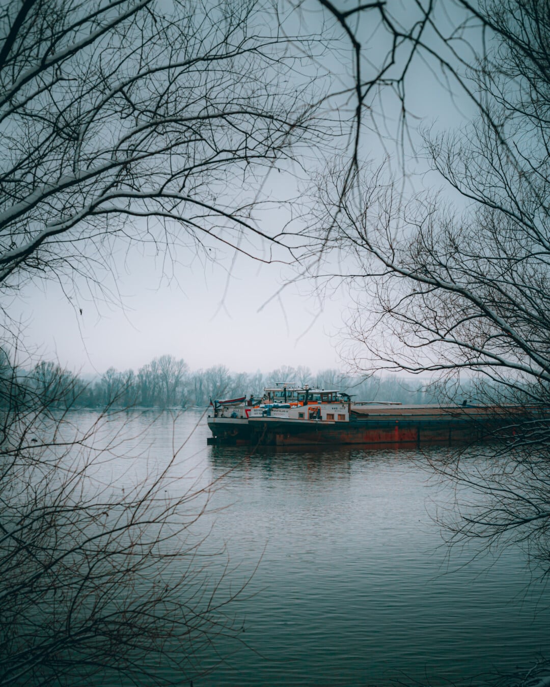 cargo ship, winter, morning, barge, foggy, riverbank, trees, water, lake, landscape
