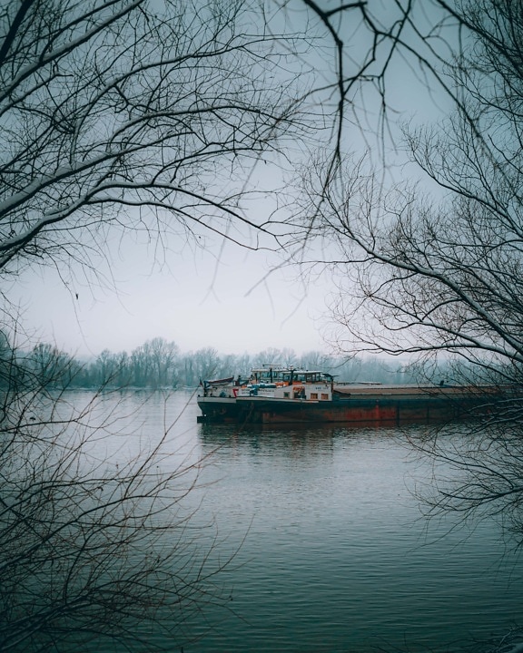 teherhajó, téli, reggel, uszály, ködös, folyóparton, fák, víz, tó, táj