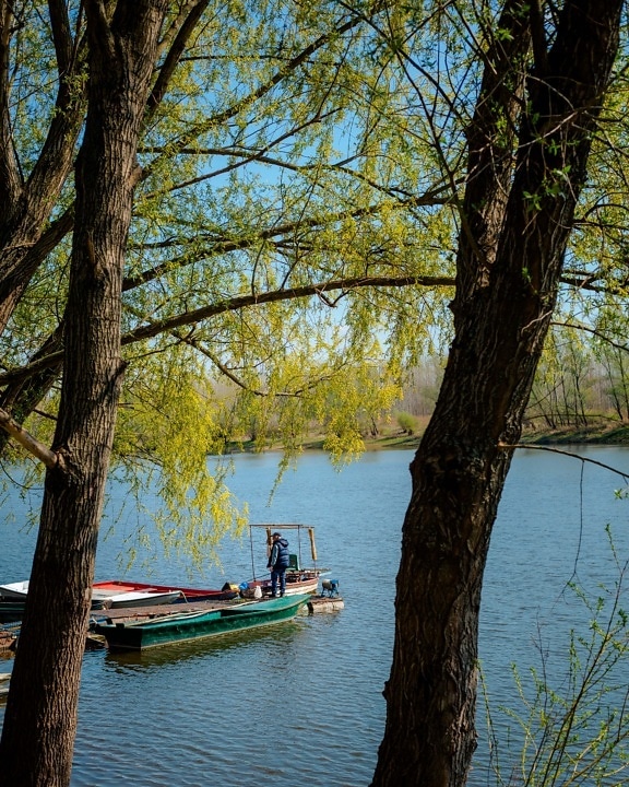 river boat, river, riverbank, sprig, boats, channel, fisherman, person, water, tree