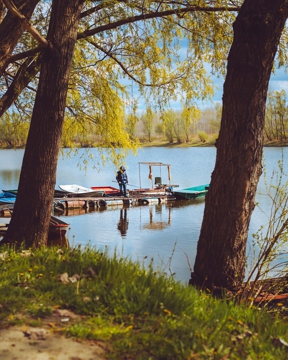 Lakeside, Риболов, рибар, пролетно време, кей, дърво, пейзаж, езеро, дървета, вода