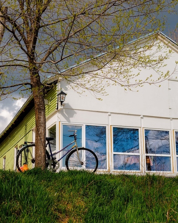 bicycle, tree, household, backyard, residential, house, home, architecture, family, window