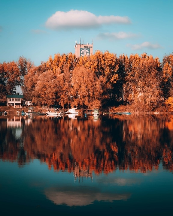 saison de l'automne, au bord du lac, placide, majestueux, eau, réflexion, rive, arbre, paysage, Lac