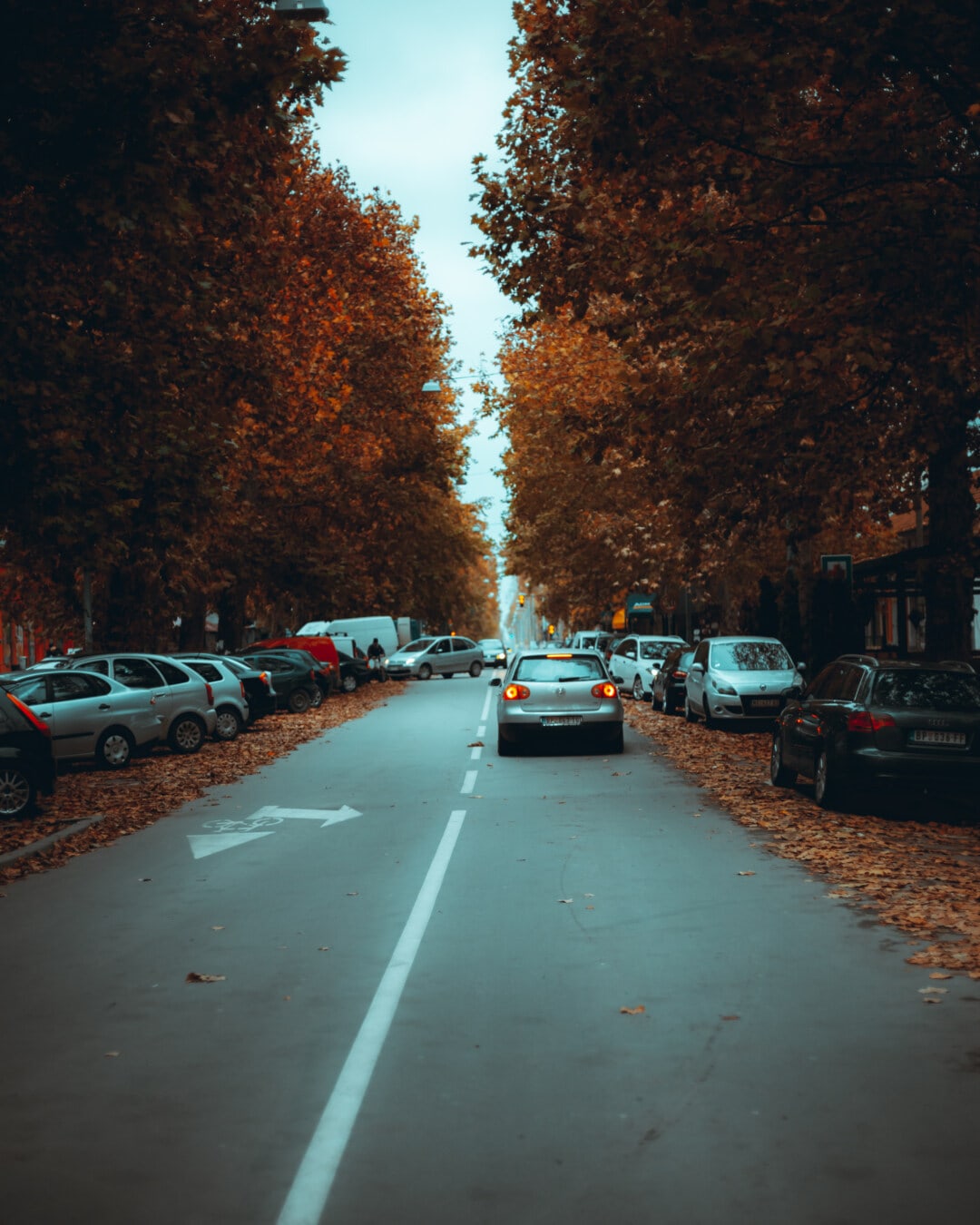 bilar, stadsområde, gata, parkering, hösten, parkeringsplats, trottoar, bil, väg, trafik