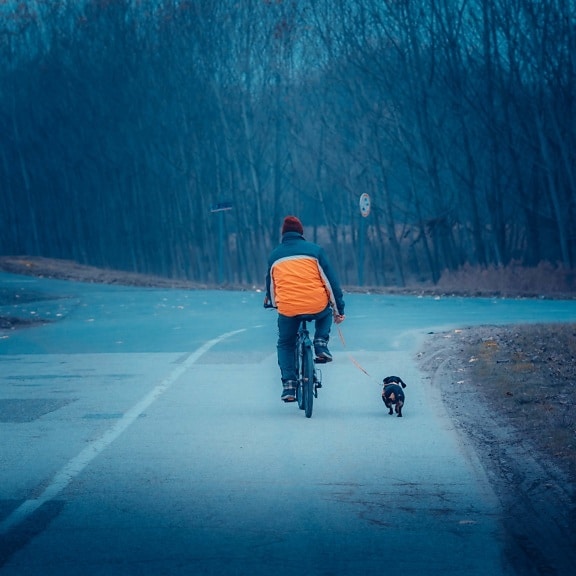 bicycle, man, crossroads, dog, recreation, pet, walking, cold, winter, people
