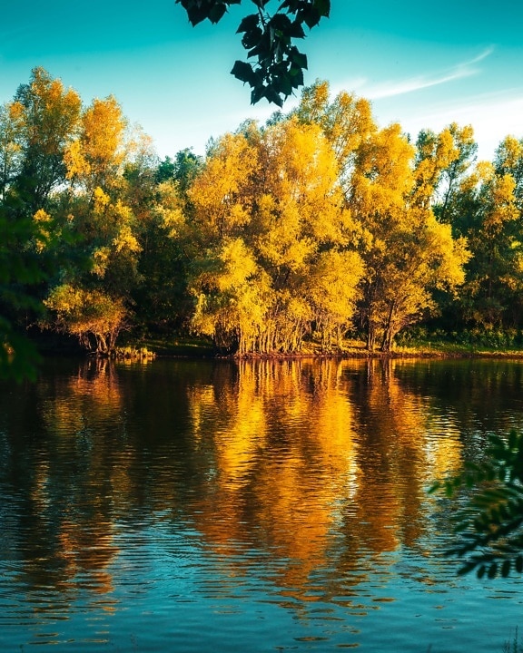 beira do lago, estação Outono, Outubro, reflexão, água, brilho dourado, paisagem, parque, floresta, Outono