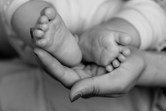 novorođenče, beba, noge, malo dijete, dijete, noge, bos, stopala, majka, drži