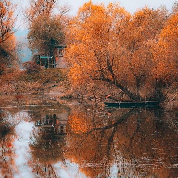 pomarańczowy, żółty, kolory, sezon jesień, Łódź, nad jeziorem, dekoracje, oddziały, natura, krajobraz, lasu