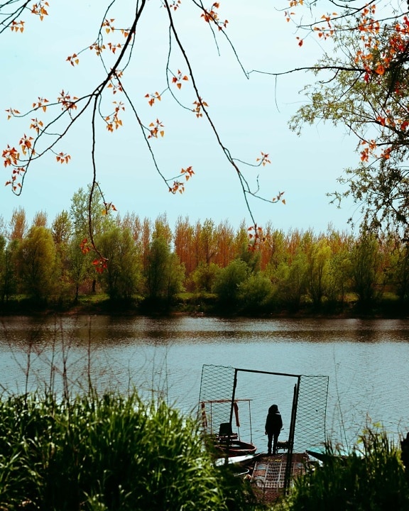 september, herfst, staande, pier, persoon, oever van de rivier, bos, land, meer, reflectie