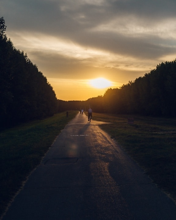 asphalt, road, sunset, people, bicycle, recreation, bicycling, slope, ascent, sun