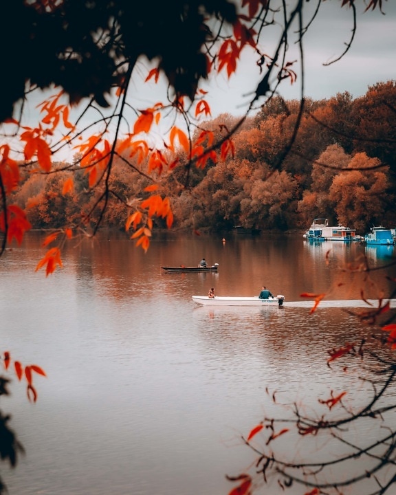 度假村, 摩托艇, 秋天季节, 港, 湖, 钓鱼船, 树, 水, 性质, 户外活动