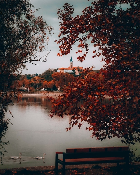 autumn, trees, riverbank, swan, birds, church tower, monastery, castle, leaf, landscape
