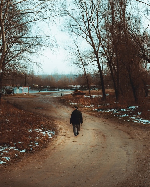 elderly, man, walking, beach, alone, winter, road, snow, landscape, tree