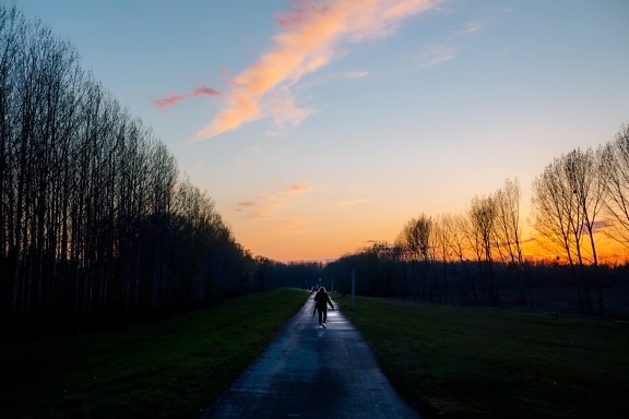 evening, dusk, twilight, road, person, alone, landscape, dawn, tree, sunset